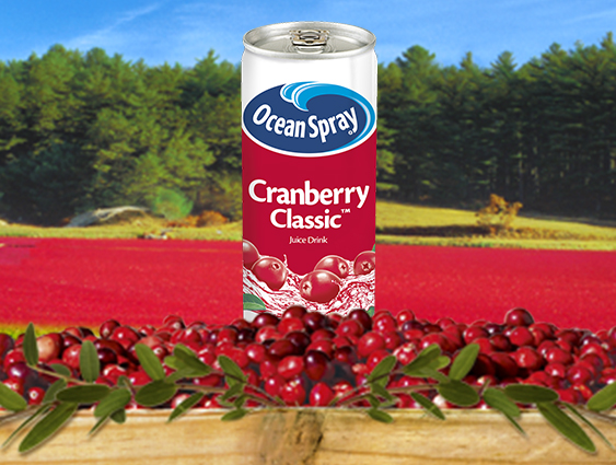 ™Cranberry Classic مشروب عصير 250 مل
